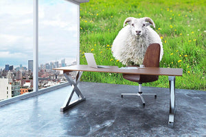 Cute sheep in Iceland staring into the camera Wall Mural Wallpaper - Canvas Art Rocks - 3