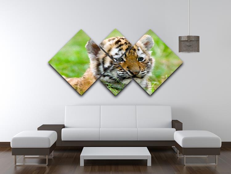 Cute siberian tiger cub 4 Square Multi Panel Canvas - Canvas Art Rocks - 3