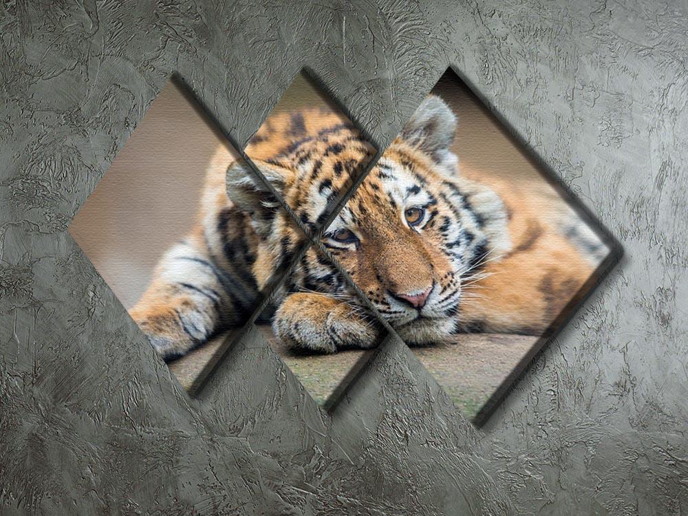 Cute tiger cub resting lazily 4 Square Multi Panel Canvas - Canvas Art Rocks - 2