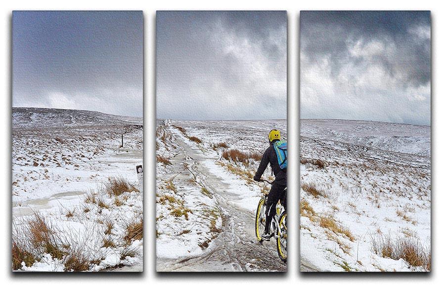 Cycling in the snow 3 Split Panel Canvas Print - Canvas Art Rocks - 1