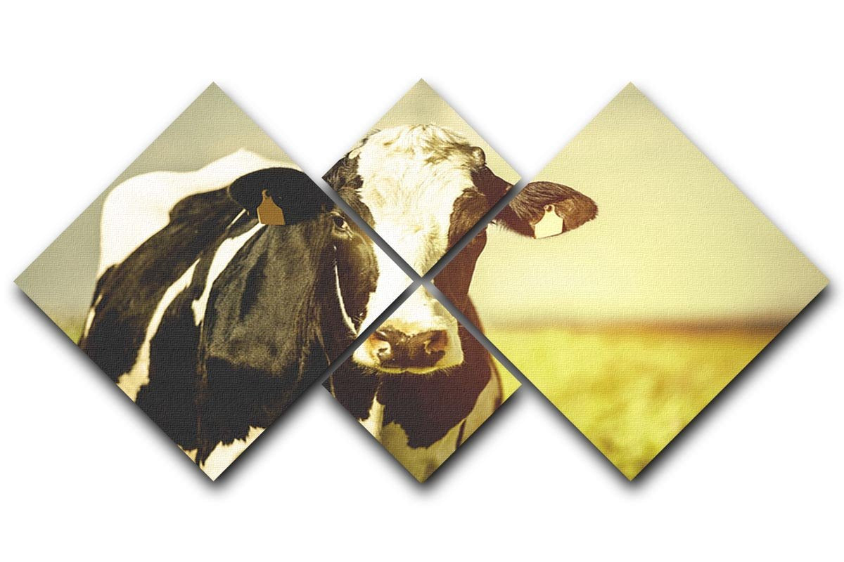 Dairy cow on the countryside 4 Square Multi Panel Canvas - Canvas Art Rocks - 1