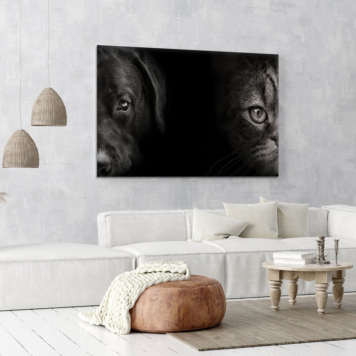 Dark muzzle labrador dog and cat Canvas Print or Poster