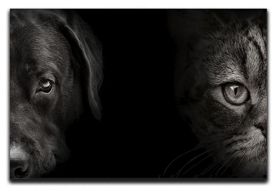 Dark muzzle labrador dog and cat Canvas Print or Poster - Canvas Art Rocks - 1
