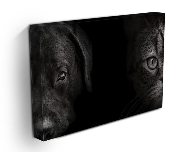 Dark muzzle labrador dog and cat Canvas Print or Poster - Canvas Art Rocks - 3