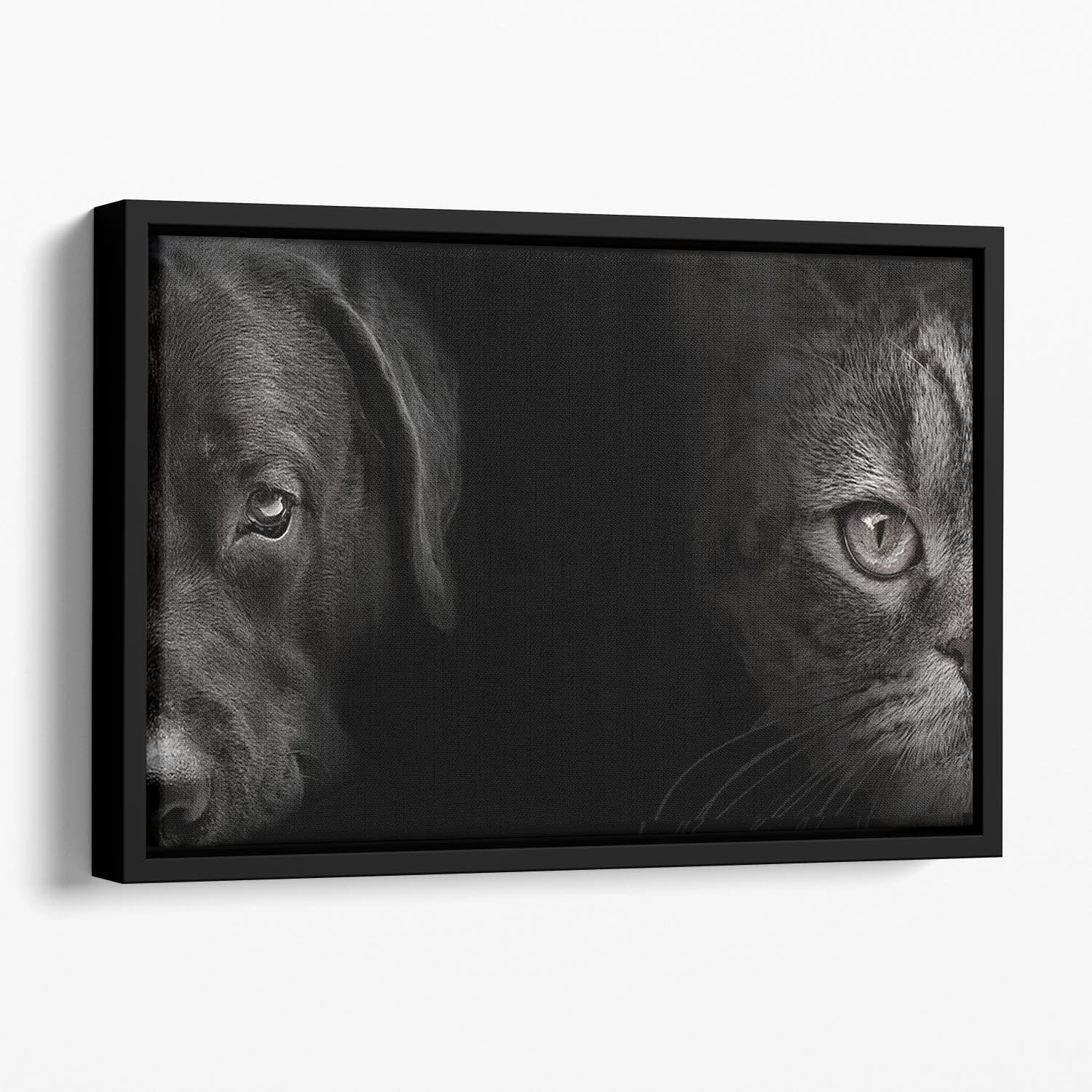 Dark muzzle labrador dog and cat Floating Framed Canvas - Canvas Art Rocks - 1