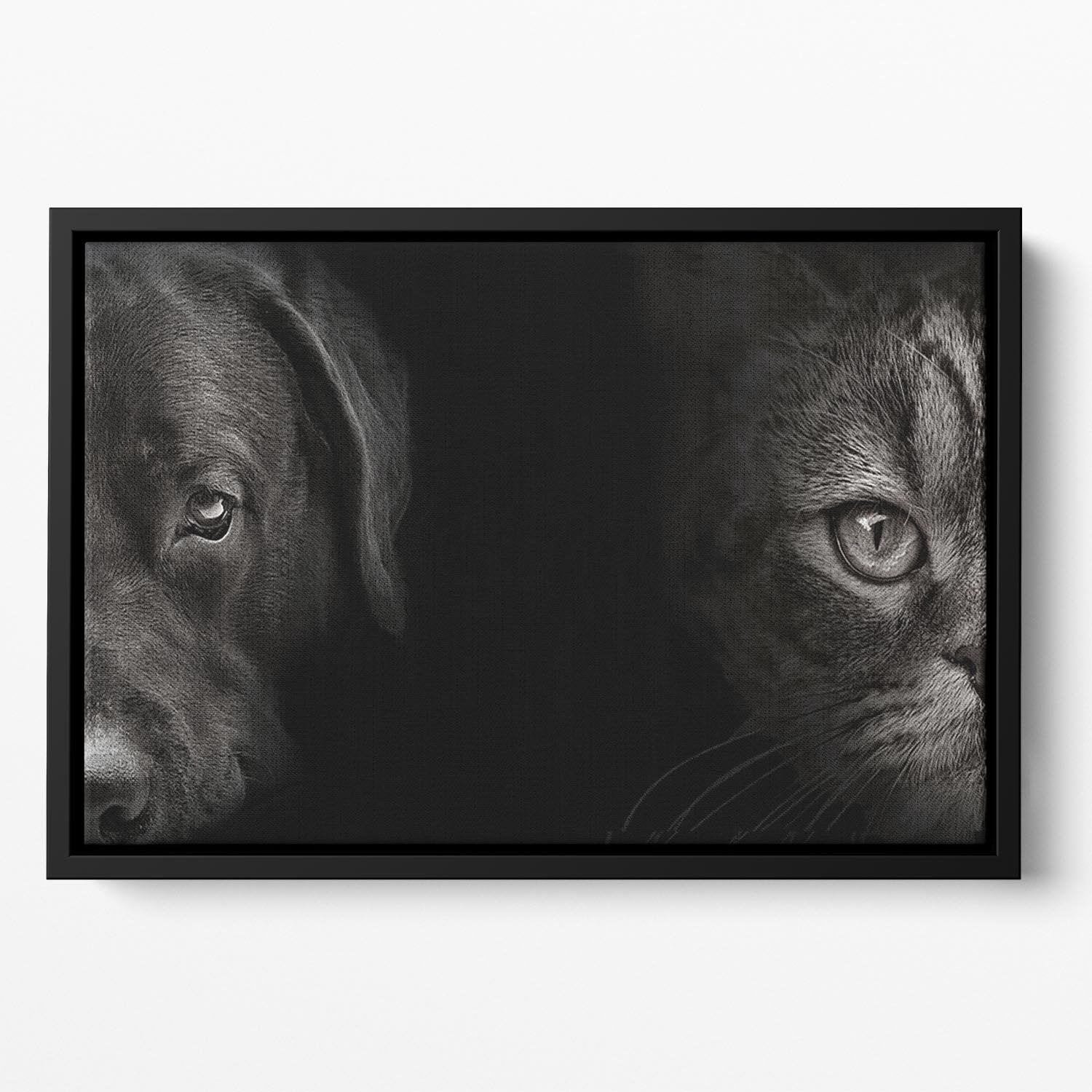 Dark muzzle labrador dog and cat Floating Framed Canvas - Canvas Art Rocks - 2