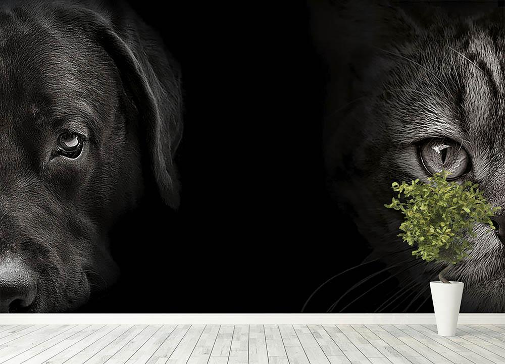 HD desktop wallpaper: Dog, Animal, Labrador download free picture #1495803