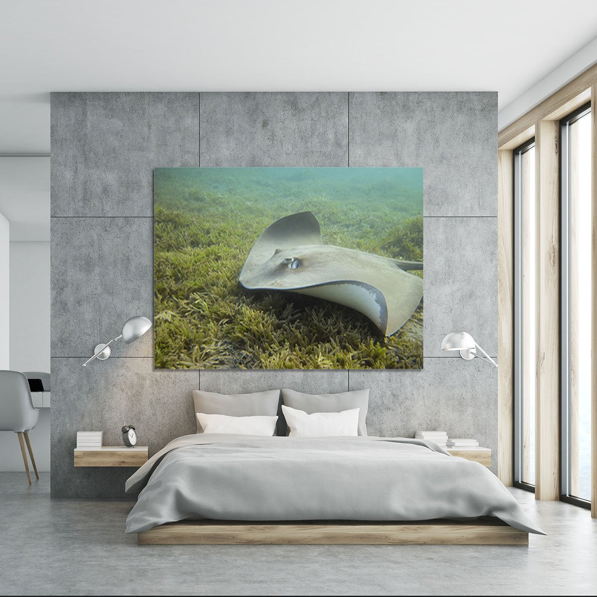 Darkspotted stingray Canvas Print or Poster