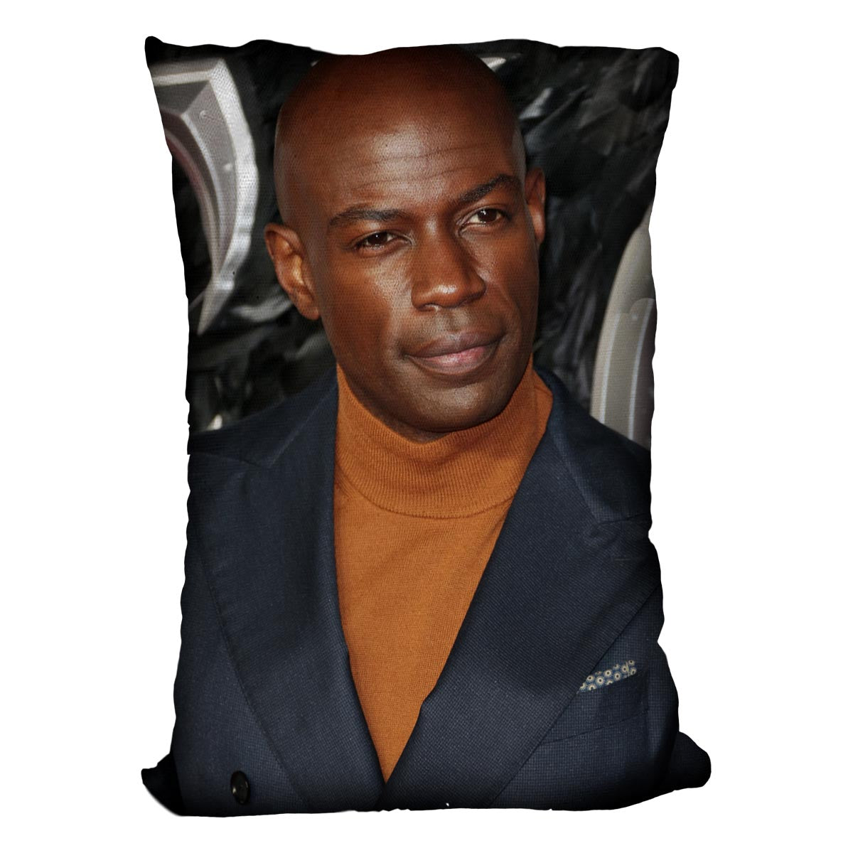 David Gyasi Cushion - Canvas Art Rocks - 4