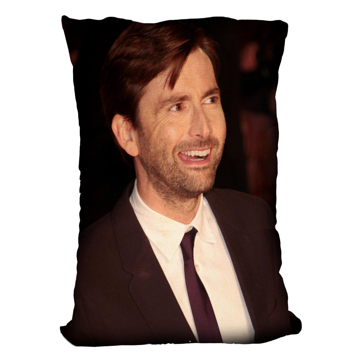 David Tennant Cushion