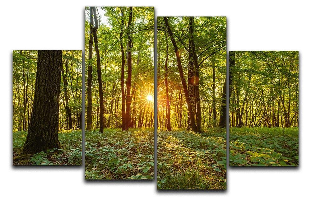 Dawn in the forest of Bavaria 4 Split Panel Canvas  - Canvas Art Rocks - 1