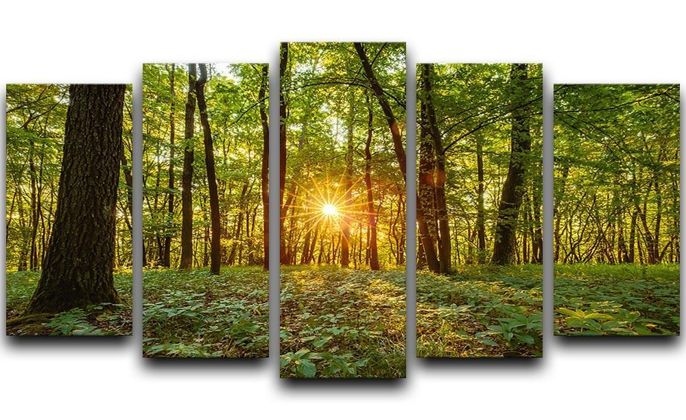 Dawn in the forest of Bavaria 5 Split Panel Canvas  - Canvas Art Rocks - 1
