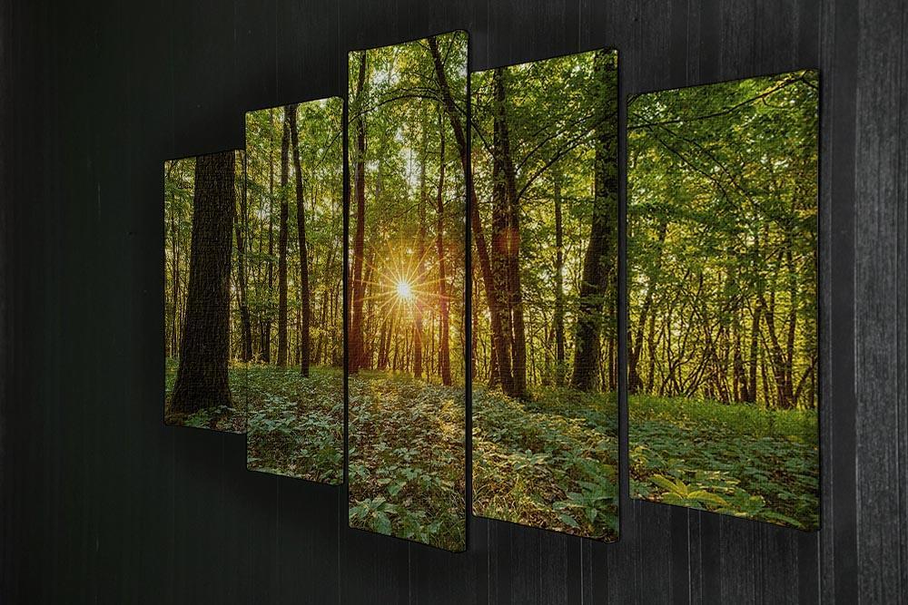 Dawn in the forest of Bavaria 5 Split Panel Canvas  - Canvas Art Rocks - 2