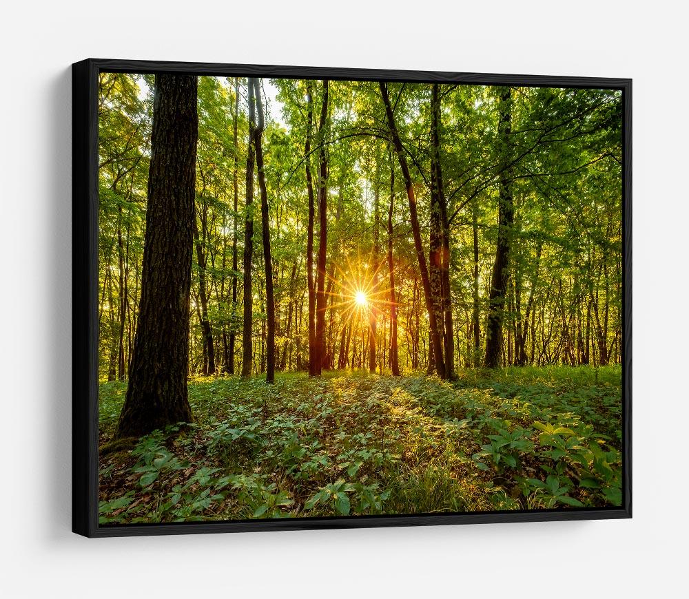 Dawn in the forest of Bavaria HD Metal Print