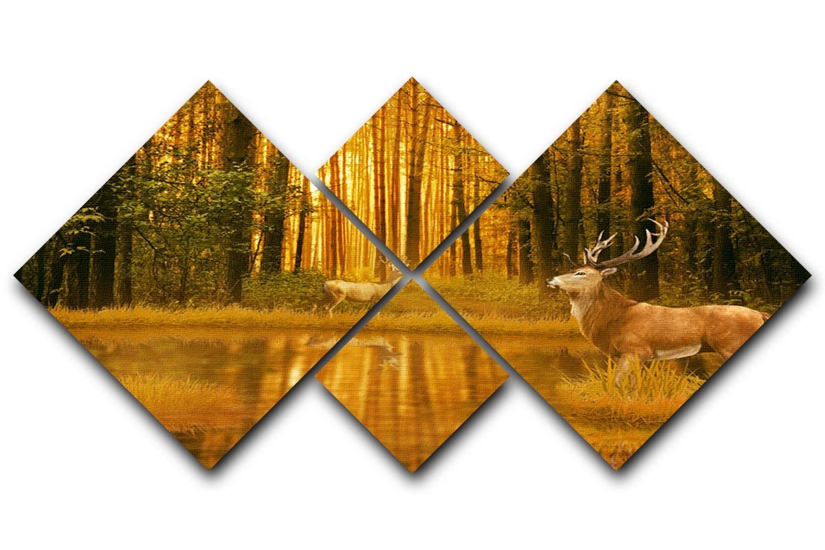 Deer Bucks in summer sunset 4 Square Multi Panel Canvas - Canvas Art Rocks - 1