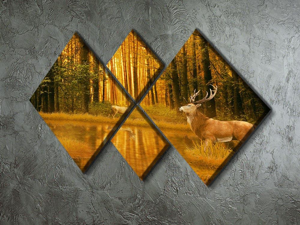Deer Bucks in summer sunset 4 Square Multi Panel Canvas - Canvas Art Rocks - 2