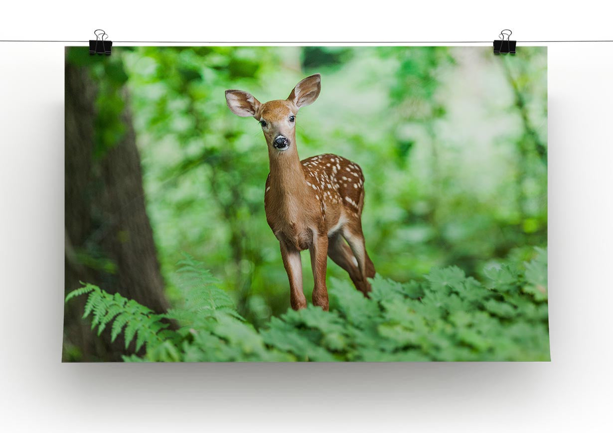 Deer In The Forest Print - Canvas Art Rocks - 2