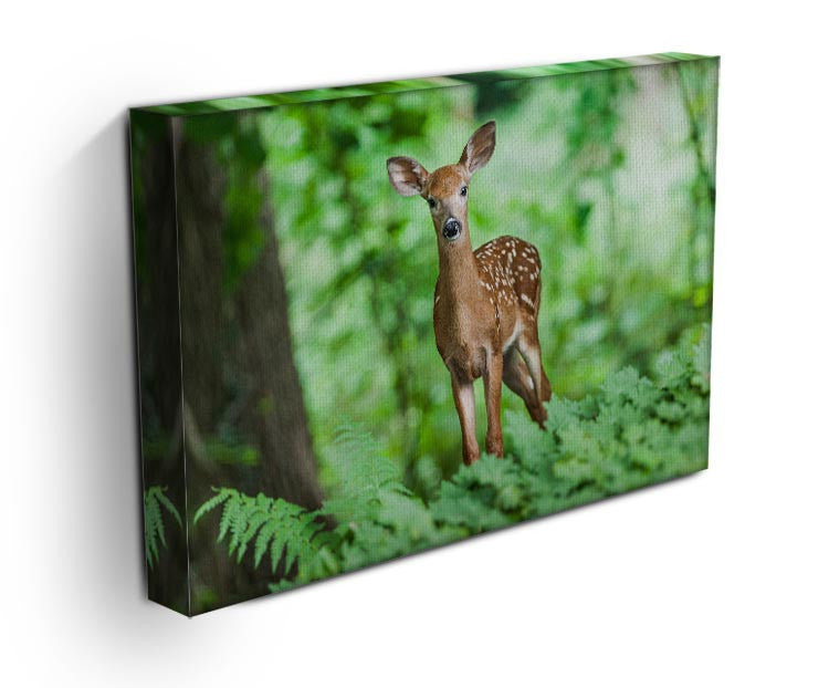 Deer In The Forest Print - Canvas Art Rocks - 3