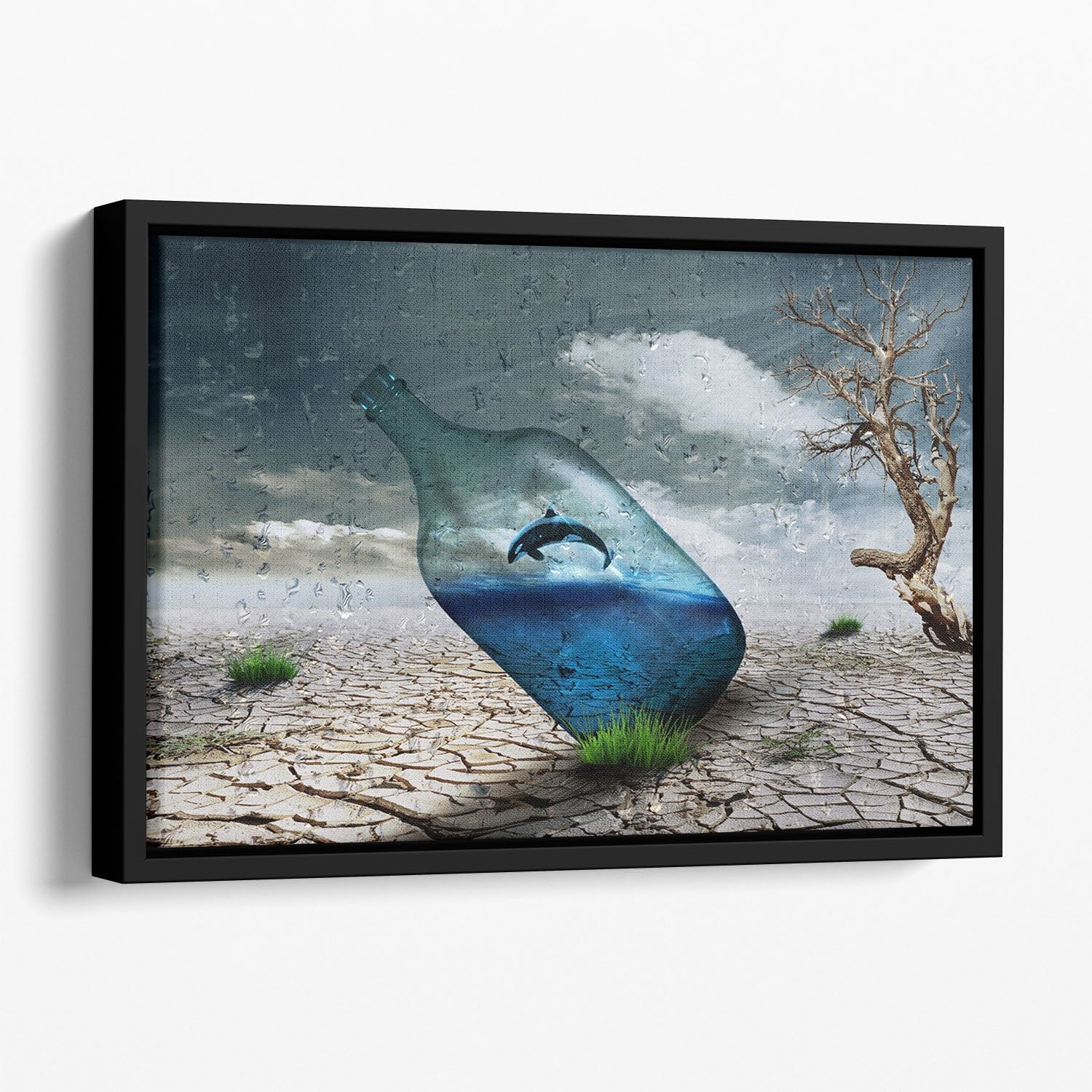 Desert In A Bottle Floating Framed Canvas