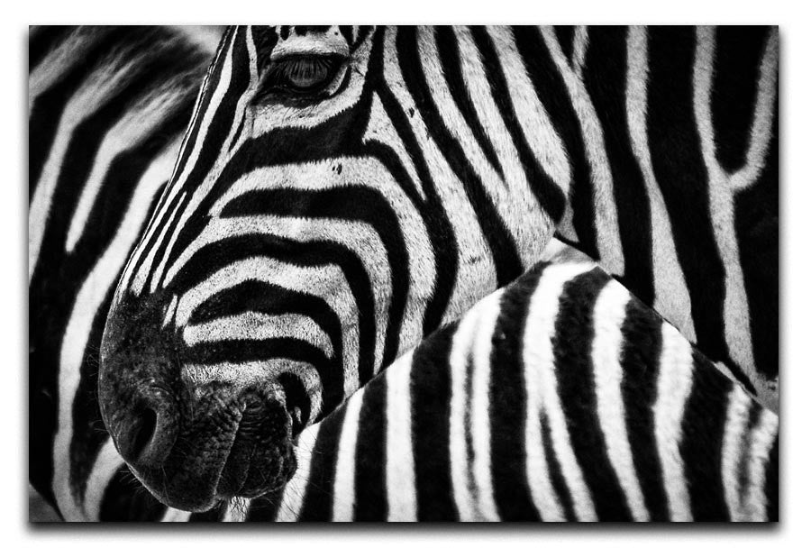 Detailed Zebra Stripes Print - Canvas Art Rocks - 1