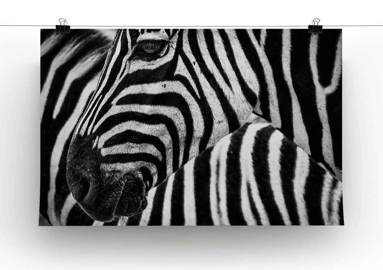 Detailed Zebra Stripes Print - Canvas Art Rocks - 2
