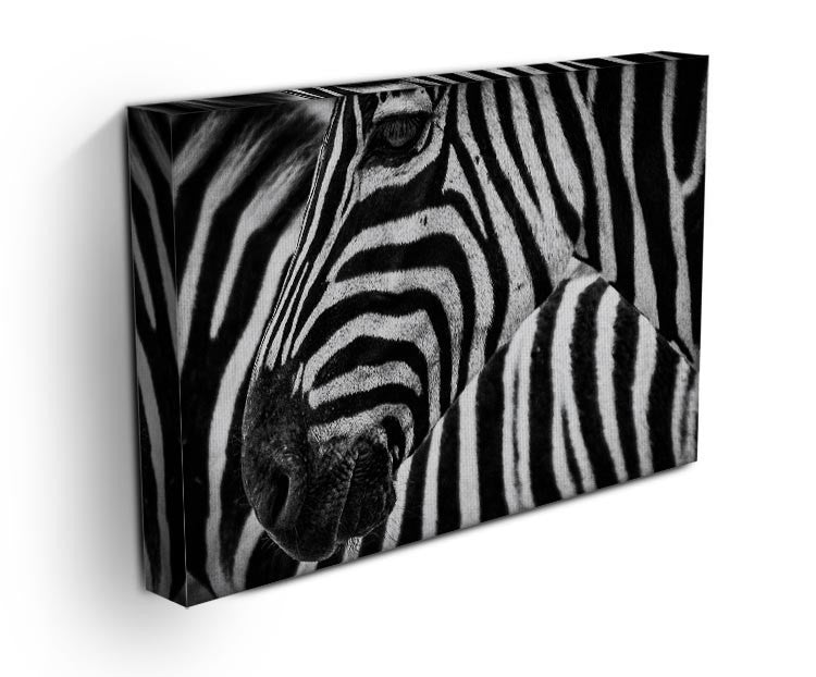 Detailed Zebra Stripes Print - Canvas Art Rocks - 3