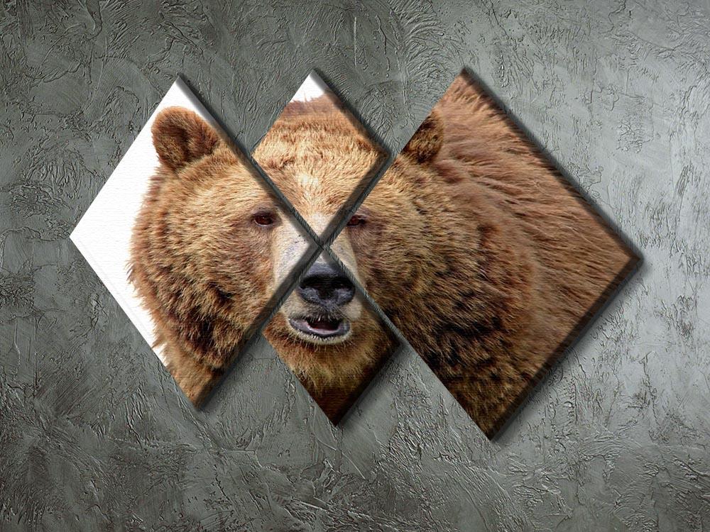 Detailed close-up portrait of a magnificent grizzly brown bear 4 Square Multi Panel Canvas - Canvas Art Rocks - 2