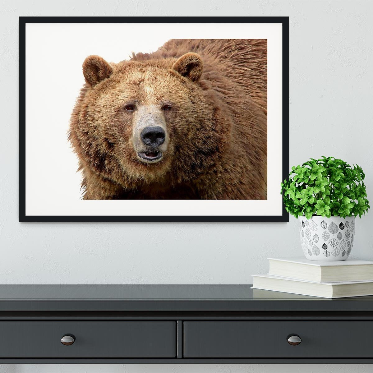 Detailed close-up portrait of a magnificent grizzly brown bear Framed Print - Canvas Art Rocks - 1