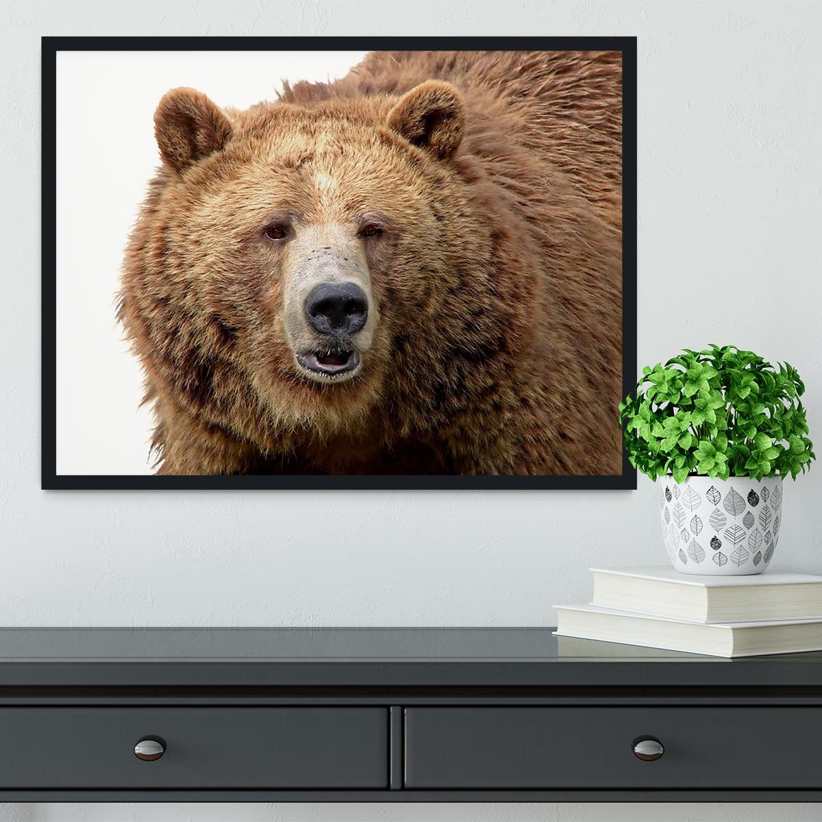 Detailed close-up portrait of a magnificent grizzly brown bear Framed Print - Canvas Art Rocks - 2