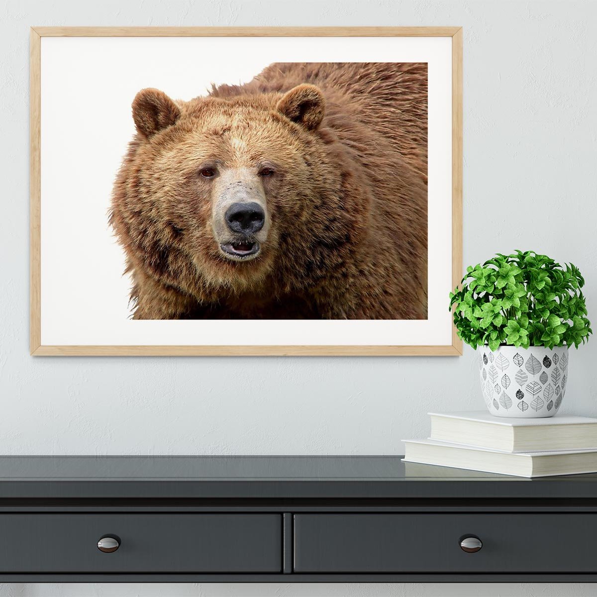 Detailed close-up portrait of a magnificent grizzly brown bear Framed Print - Canvas Art Rocks - 3