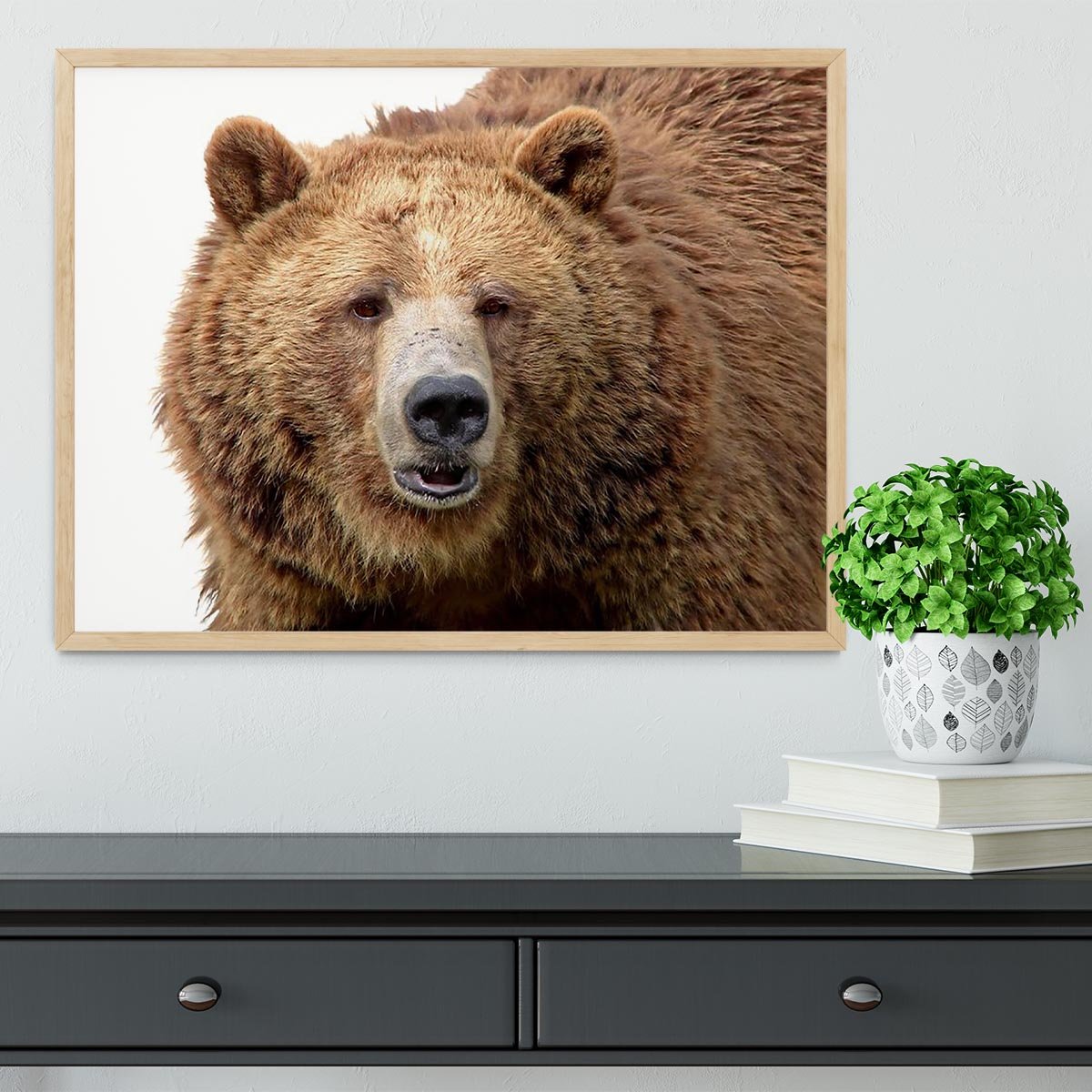 Detailed close-up portrait of a magnificent grizzly brown bear Framed Print - Canvas Art Rocks - 4