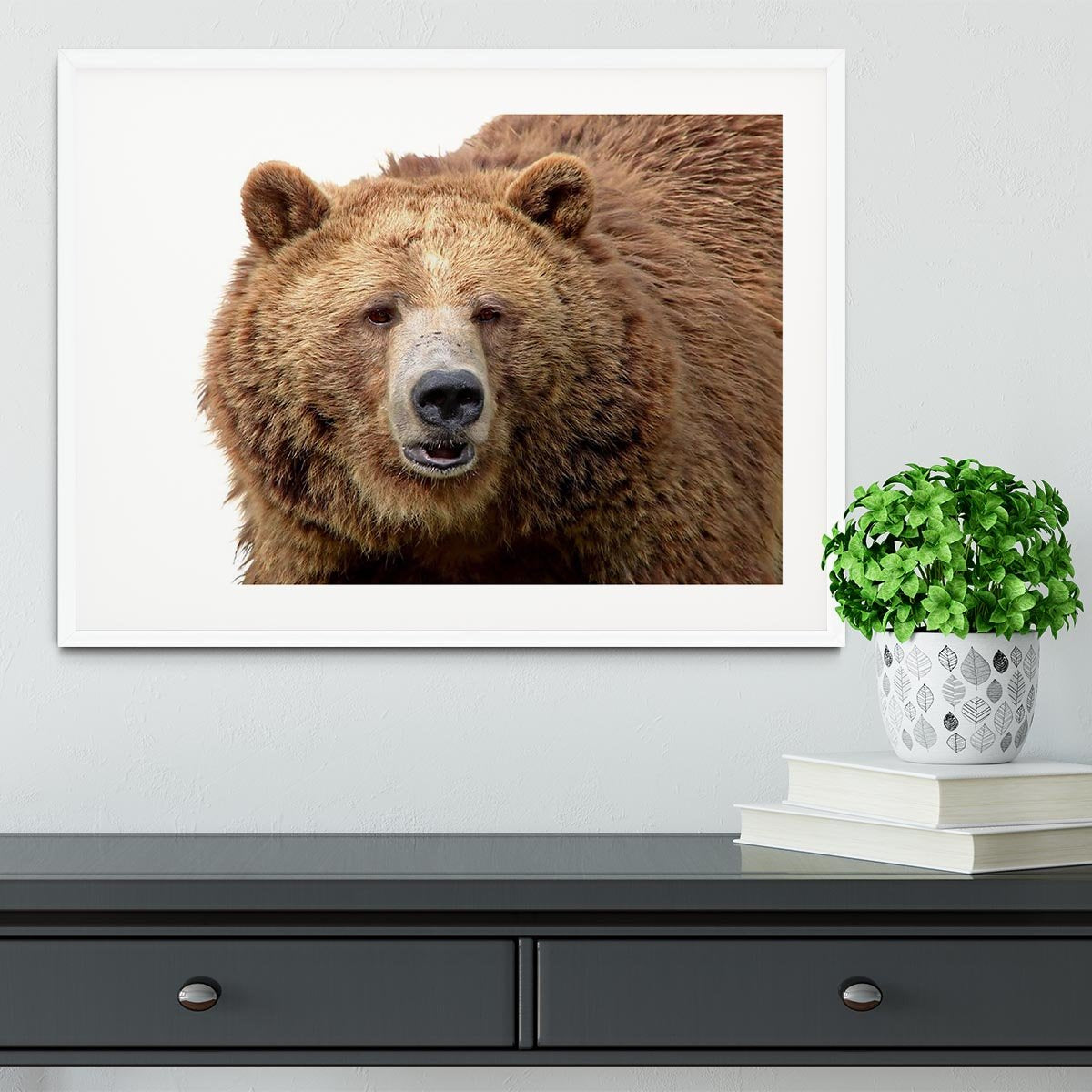 Detailed close-up portrait of a magnificent grizzly brown bear Framed Print - Canvas Art Rocks - 5