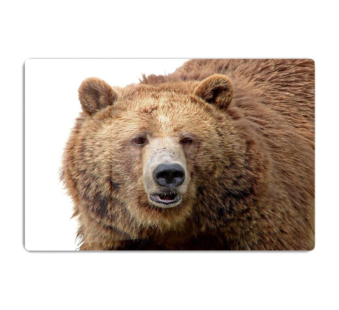 Detailed close-up portrait of a magnificent grizzly brown bear HD Metal Print - Canvas Art Rocks - 1