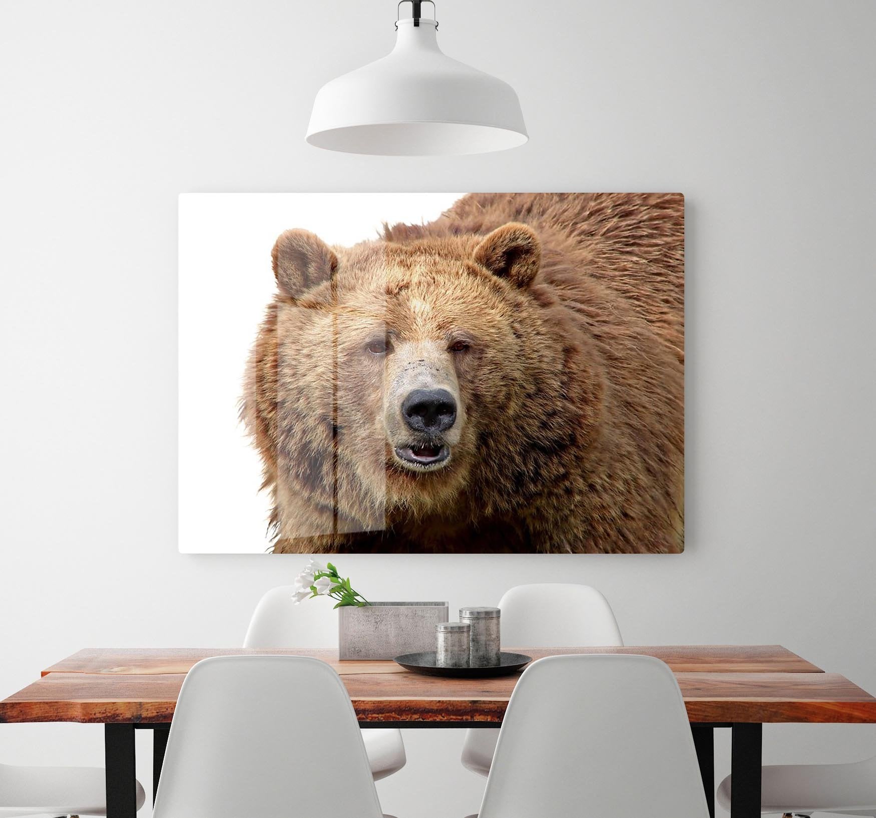 Detailed close-up portrait of a magnificent grizzly brown bear HD Metal Print - Canvas Art Rocks - 2
