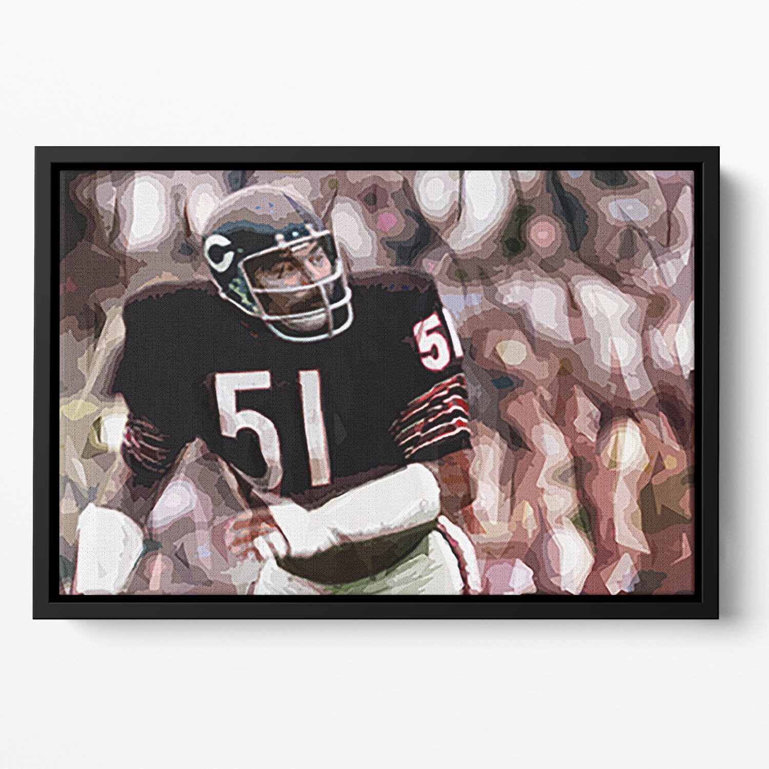 Dick Butkus Chicago Bears Floating Framed Canvas