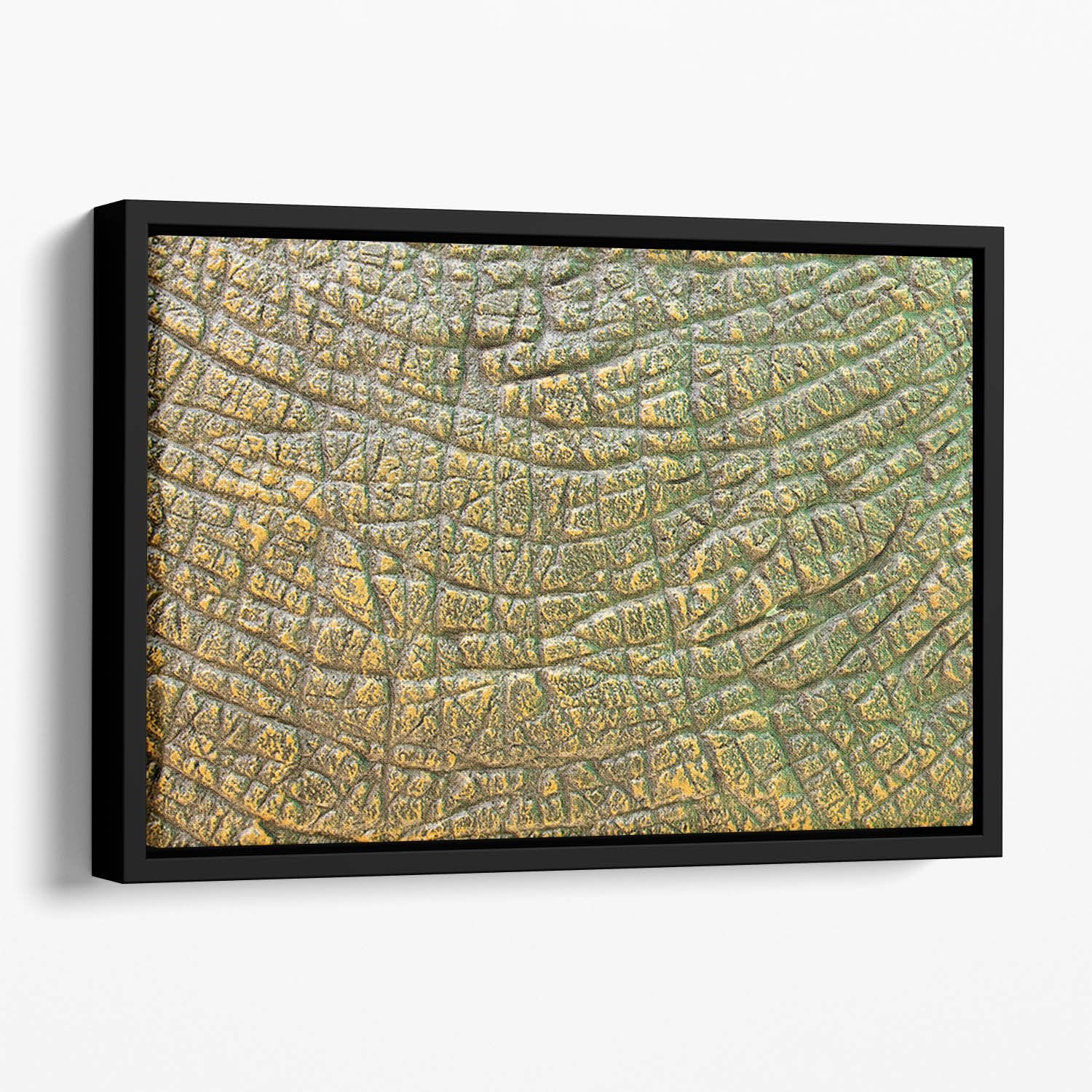 Dinosaur Skin Texture Floating Framed Canvas