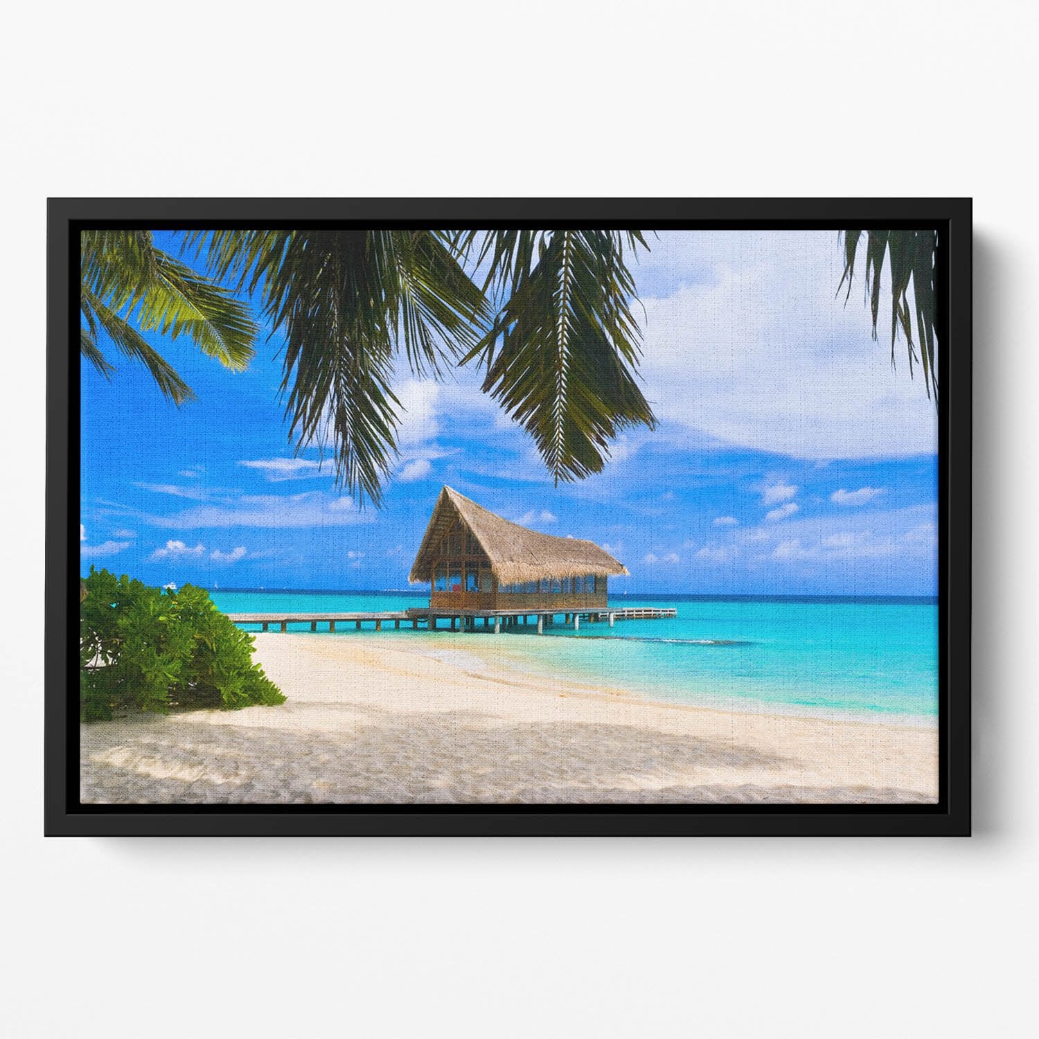 Diving club on a tropical island Floating Framed Canvas