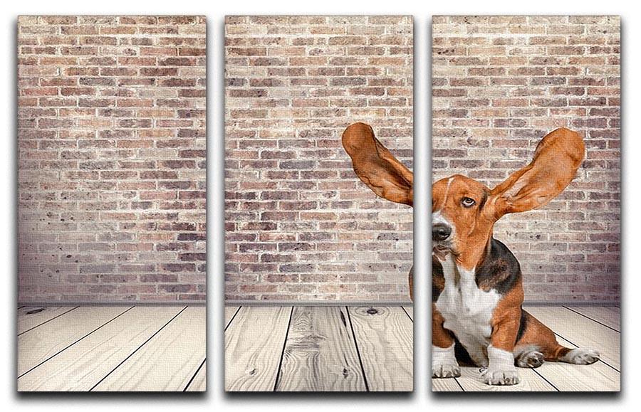 Dog Listening Animal Ear 3 Split Panel Canvas Print - Canvas Art Rocks - 1