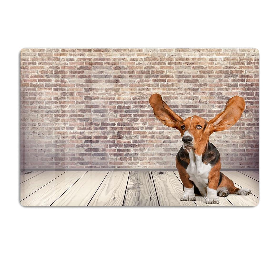 Dog Listening Animal Ear HD Metal Print - Canvas Art Rocks - 1