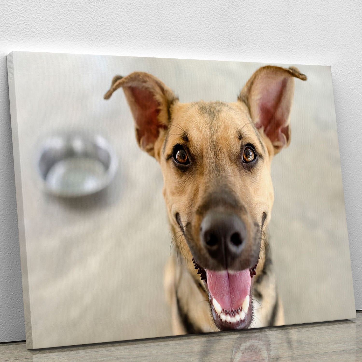 Dog and Bowl Canvas Print or Poster