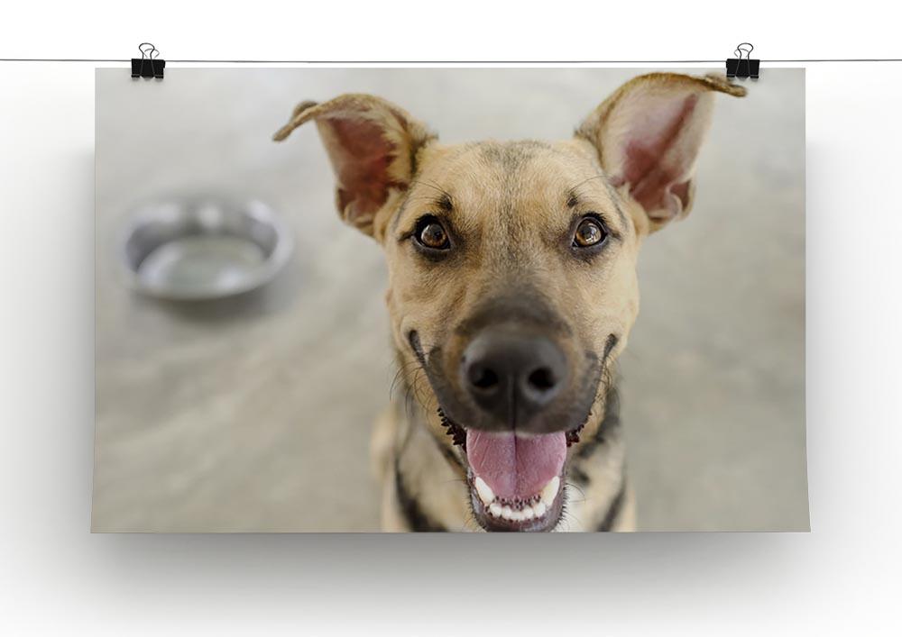 Dog and Bowl Canvas Print or Poster - Canvas Art Rocks - 2