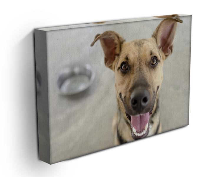 Dog and Bowl Canvas Print or Poster - Canvas Art Rocks - 3