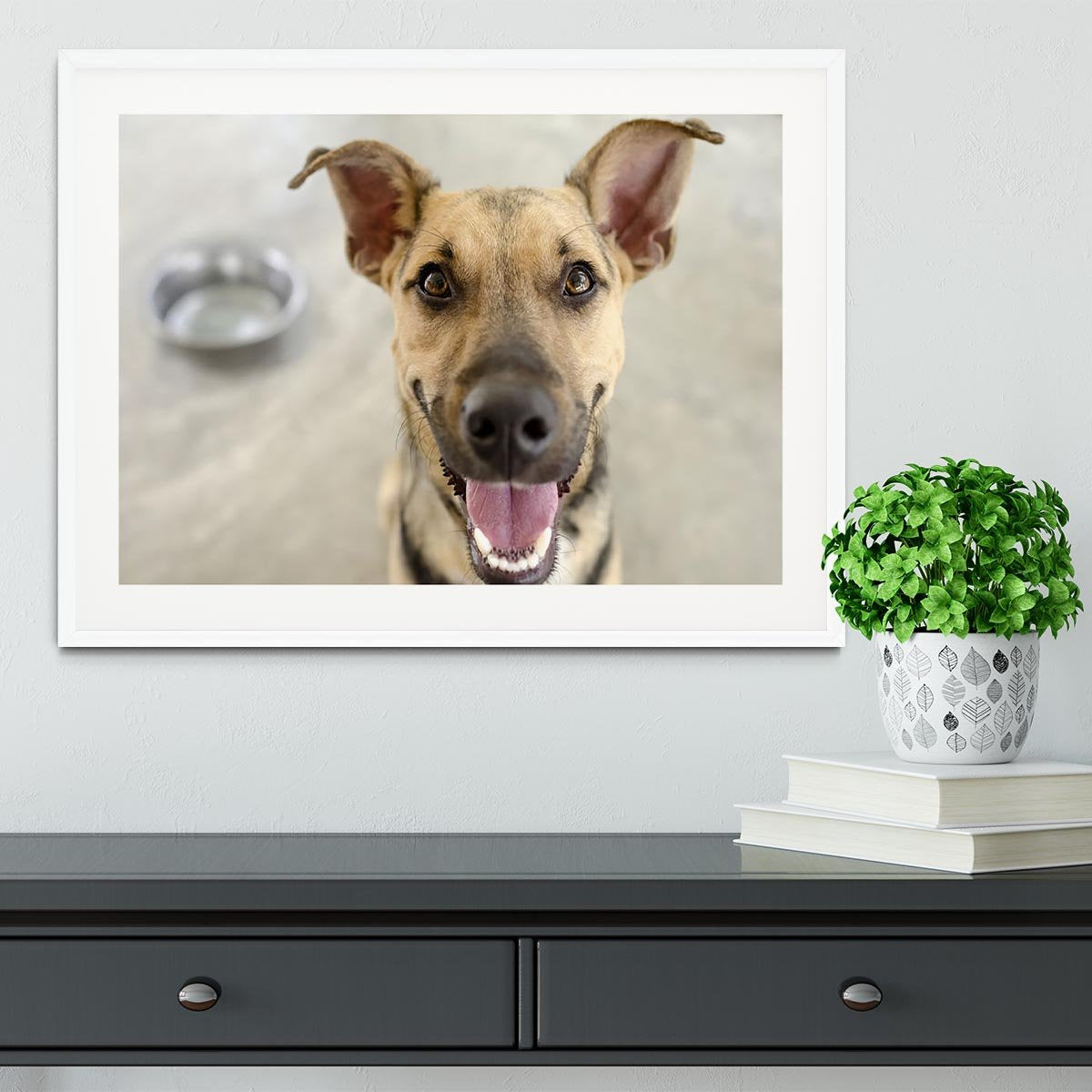 Dog and Bowl Framed Print - Canvas Art Rocks - 5