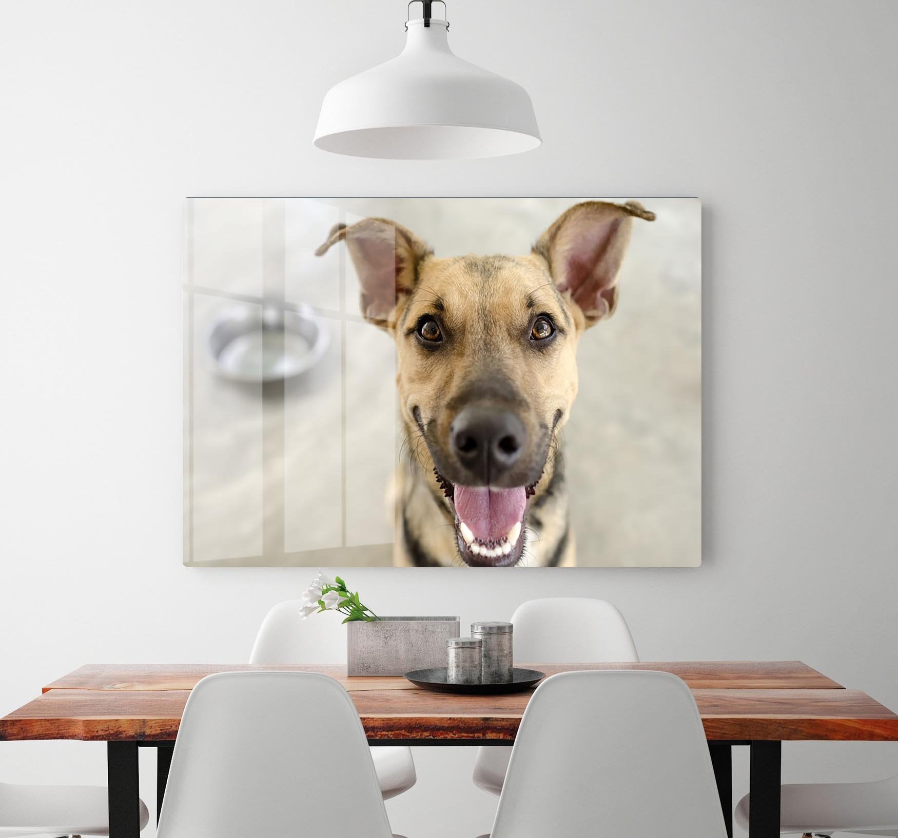 Dog and Bowl HD Metal Print - Canvas Art Rocks - 2