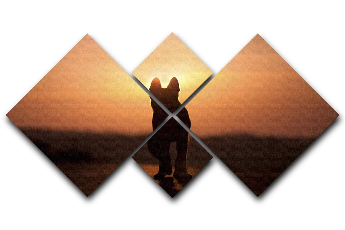 Dog backlight silhouette in sunset 4 Square Multi Panel Canvas - Canvas Art Rocks - 1