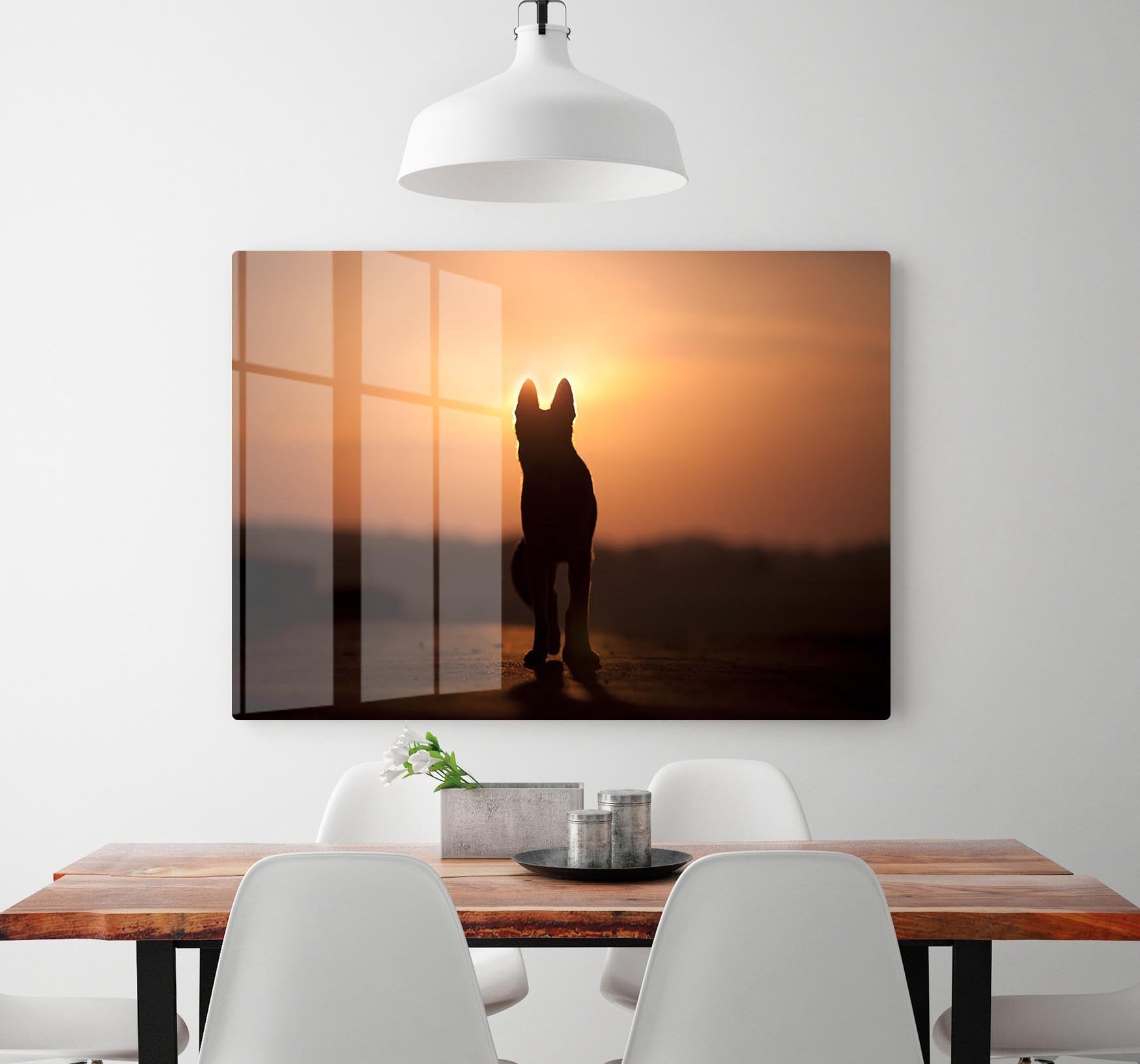 Dog backlight silhouette in sunset HD Metal Print - Canvas Art Rocks - 2
