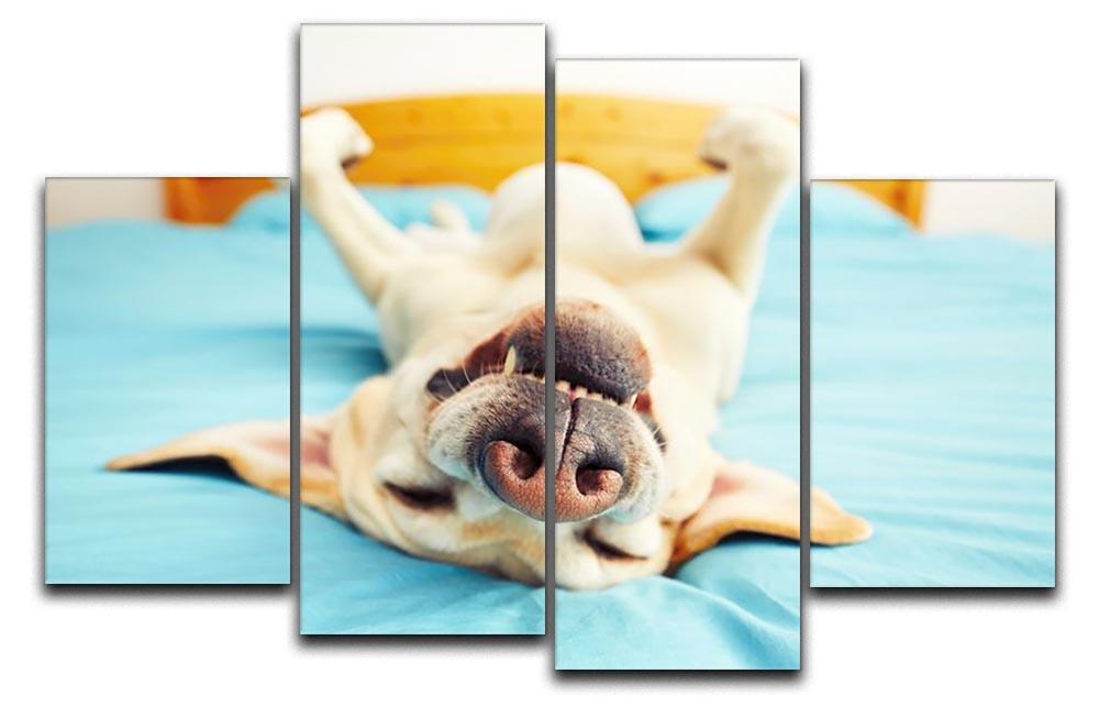Dog is lying on back on the bed 4 Split Panel Canvas - Canvas Art Rocks - 1