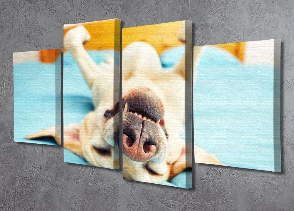 Dog is lying on back on the bed 4 Split Panel Canvas - Canvas Art Rocks - 2