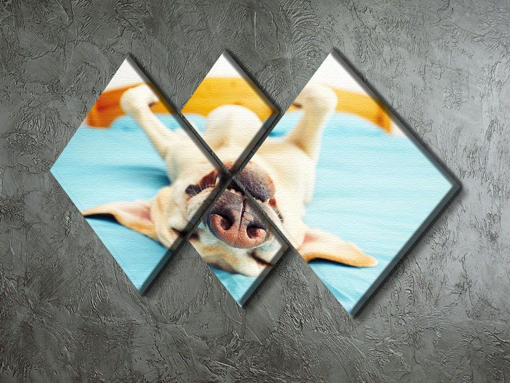 Dog is lying on back on the bed 4 Square Multi Panel Canvas - Canvas Art Rocks - 2