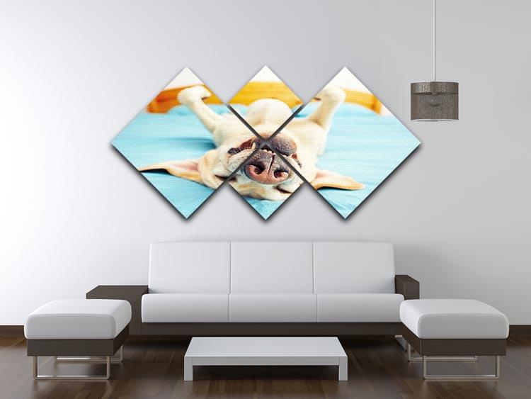 Dog is lying on back on the bed 4 Square Multi Panel Canvas - Canvas Art Rocks - 3